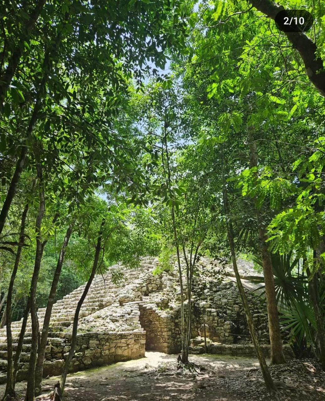 Cobá jungle path