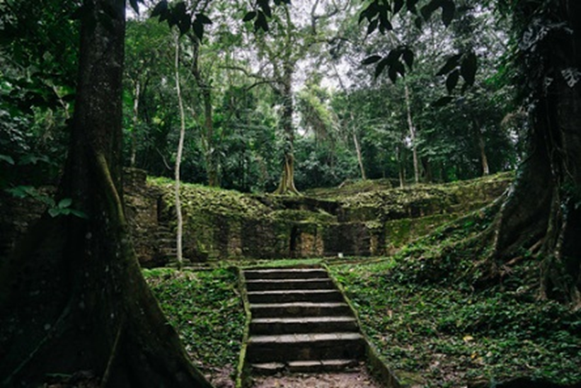 Palenque jungle path