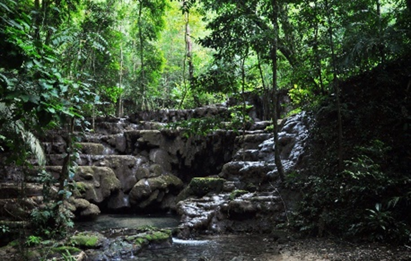 Palenque lush surroundings